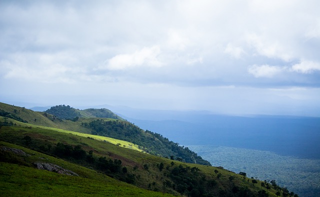 也有明显提 也有明显提