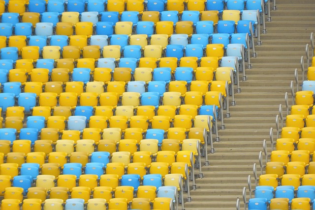 成為佩德里 成為佩德里