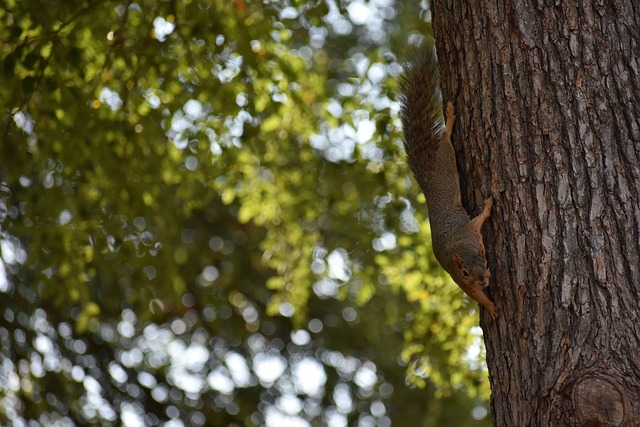 线表现强势 线表现强势