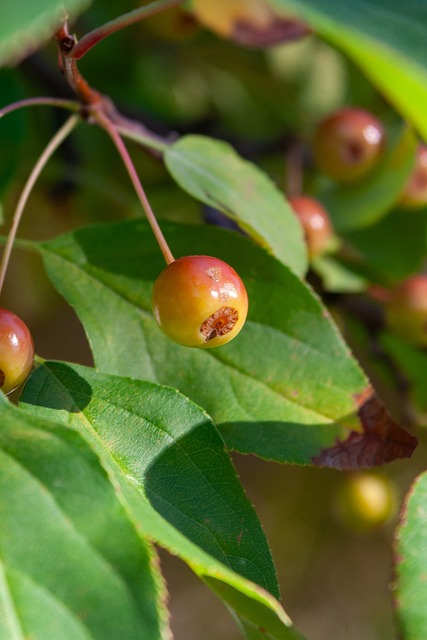 篮球的深度 篮球的深度