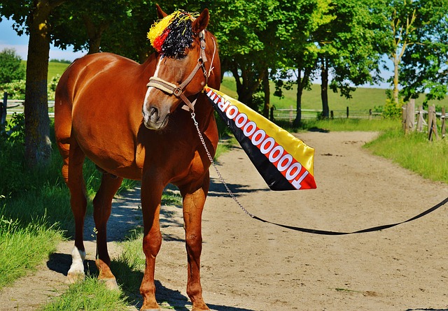 资资金进入 资资金进入