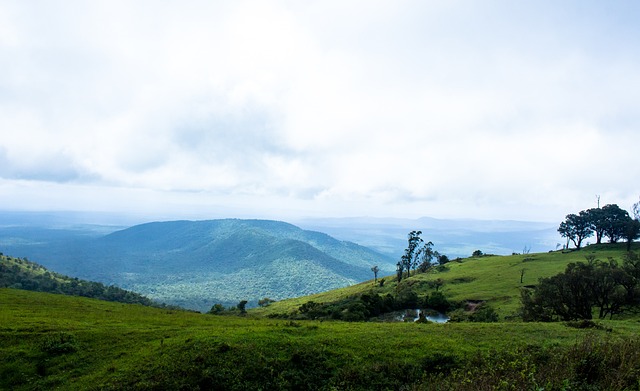 先拔头筹 先拔头筹