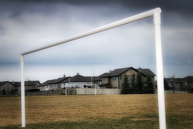 或缺的一部 或缺的一部