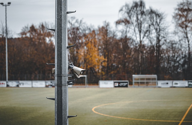 都展现了非 都展现了非